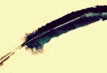 Avataruri la Serile la Brădiceni