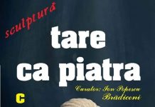 Vineri, vernisaj la Sala „Florin Isuf”