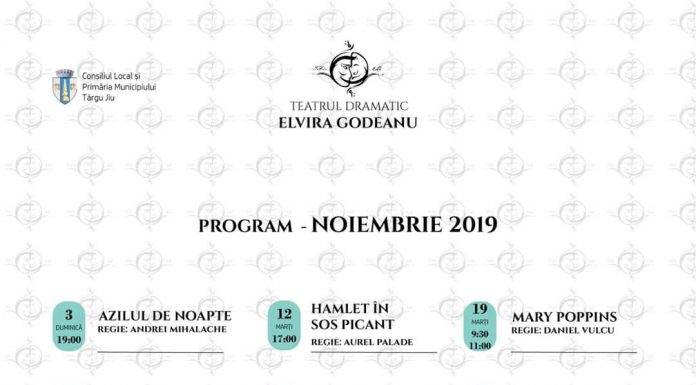 Programul lunii noiembrie, la Teatrul „Elvira Godeanu”
