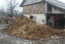 Agricultura pe înțelesul tuturor – Gunoiul de grajd – o comoară a fermierilor
