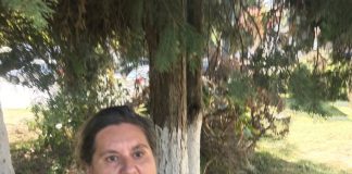 Un nou scandal la școala din Bengești Ciocadia cu o profesoară „recidivistă”!