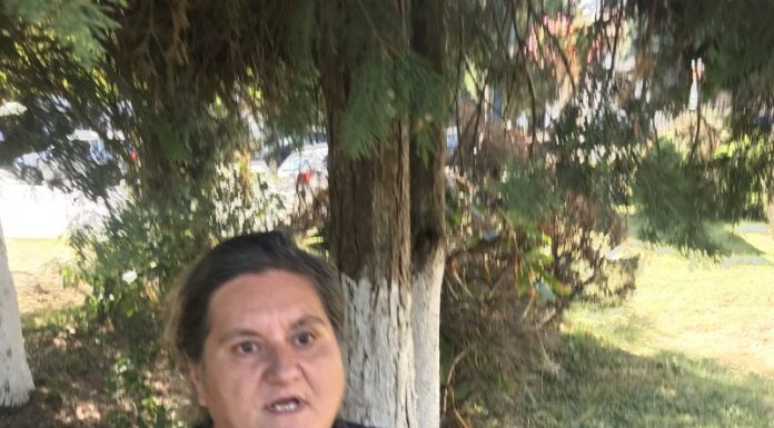 Un nou scandal la școala din Bengești Ciocadia cu o profesoară „recidivistă”!