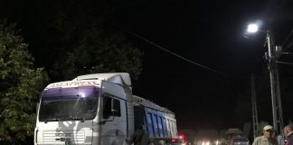 A rămas fără lemnele transportate „ilegal”