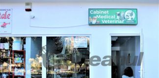 Cabinet veterinar, o nouă afacere inaugurată în Târgu-Jiu! Proiectul, finanțat prin ,,Antreprenoriat urban inovativ” de Centrul de Calcul