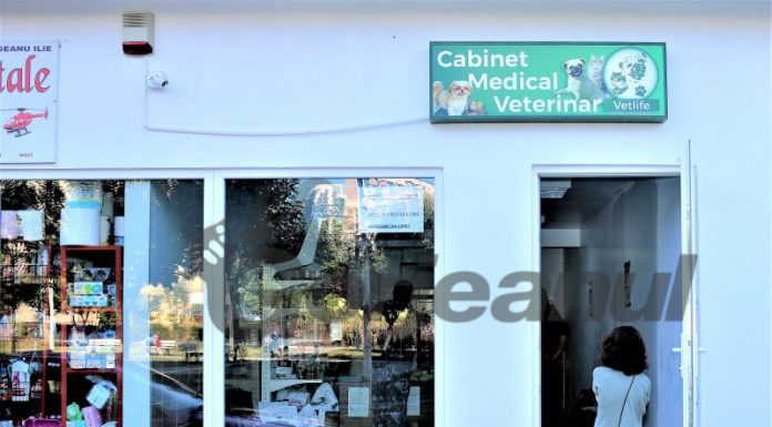 Cabinet veterinar, o nouă afacere inaugurată în Târgu-Jiu! Proiectul, finanțat prin ,,Antreprenoriat urban inovativ” de Centrul de Calcul