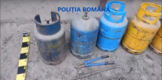 Patron din Bolboși, reținut pentru tăinuire