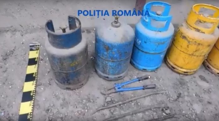 Patron din Bolboși, reținut pentru tăinuire