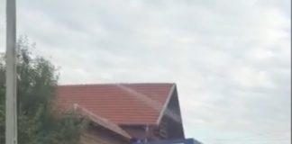 VIDEO: Primarul de Stănești recidivează! Alți doi salariați ai primăriei, prinși muncind pentru edilul local