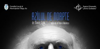 ,,Azilul de noapte” revine la Teatrul ,,Elvira Godeanu” Târgu-Jiu!
