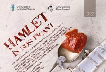 Cap de afiş: „Hamlet în sos picant”! – Se deschide stagiunea pentru adulţi, la Teatrul Dramatic „Elvira Godeanu”!