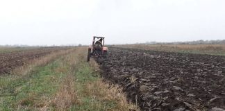 Agricultura pe înţelesul tuturor – Graficul lucrărilor agricole în luna decembrie