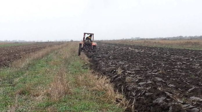 Agricultura pe înţelesul tuturor – Graficul lucrărilor agricole în luna decembrie