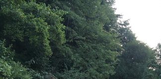 Primari nemulțumiți după rectificare. „E de râsul lumii”