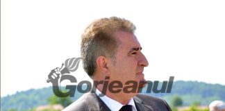 Senatorul Iriza: Vă cer să votați Guvernul Orban!