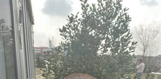 Amenzi de peste 370.000 de lei, aplicate de comisarii lui Giurcău