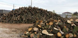 Controale la depozitele de material lemnos, în patru comune din Gorj