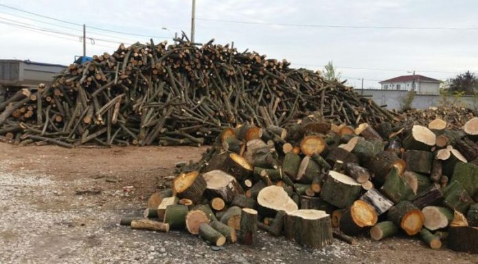 Controale la depozitele de material lemnos, în patru comune din Gorj