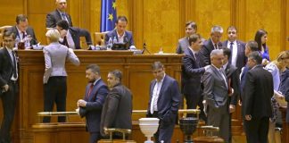 Guvernul Dăncilă, demis. Lider PSD Gorj: Să strângem rândurile