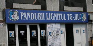 Executorii au blocat conturile CEO! Golea a cerut încuviințarea executării silite a Primăriei Târgu-Jiu, Consiliului Județean Gorj și ARTEGO! Asociații, obligați să vireze Clubului Pandurii trei milioane de euro!