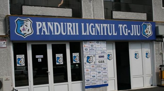Executorii au blocat conturile CEO! Golea a cerut încuviințarea executării silite a Primăriei Târgu-Jiu, Consiliului Județean Gorj și ARTEGO! Asociații, obligați să vireze Clubului Pandurii trei milioane de euro!