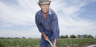 Gorjul, în top la valoarea indemnizației pensionarilor agricultori