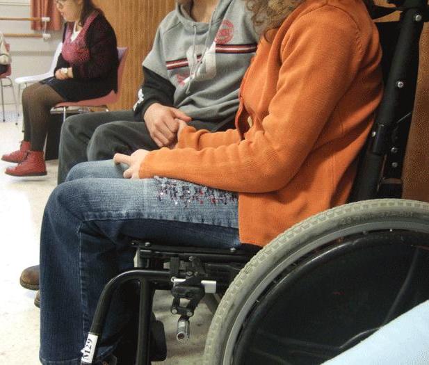 persoane_handicap