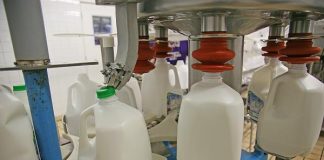 Activitate sistată pentru o unitate de procesare a laptelui din Bumbeşti-Piţic