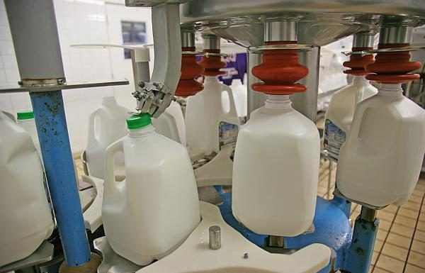 Activitate sistată pentru o unitate de procesare a laptelui din Bumbeşti-Piţic