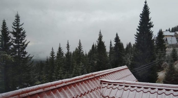 FOTO: Prima ninsoare la Rânca!