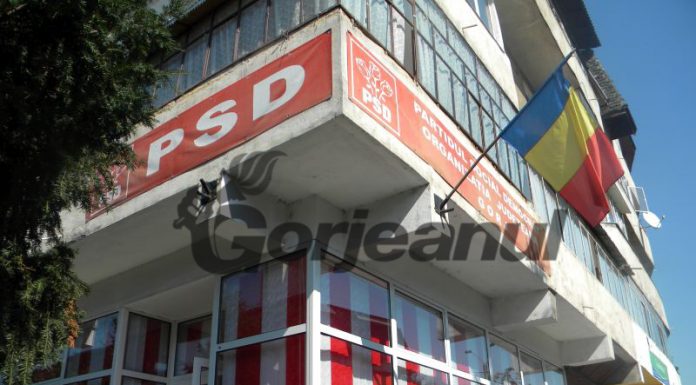 CEX-ul PSD, joi, la Casa Danielescu