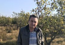 Zero gutui la Stațiunea Pomicolă