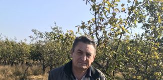 Zero gutui la Stațiunea Pomicolă