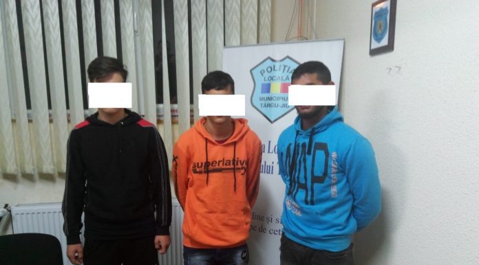 Tineri scandalagii, sancționați de Poliția Locală