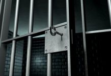 Bărbatul care a tăiat un câine cu secera și a bătut un localnic, eliberat după o altă noapte de arest