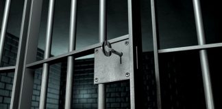 Bărbatul care a tăiat un câine cu secera și a bătut un localnic, eliberat după o altă noapte de arest