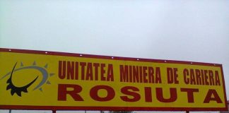Ginerele viceprimarului PSD al comunei Broșteni, împins spre un post de șef de schimb la Cariera Roșiuța