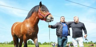 Consilierii locali au spus NU la fasole și ciolan în Drăguțești! Anul trecut, la manifestări a fost prezent Boza