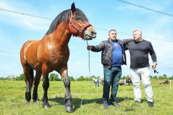 74349810_556514114922733_877002059503632384_n