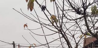 A intrat cu mașina într-un cap de pod și a fugit