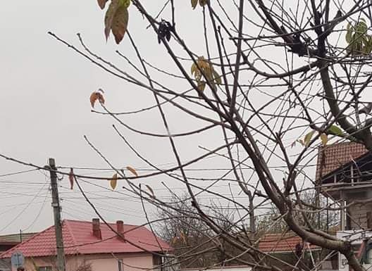 A intrat cu mașina într-un cap de pod și a fugit