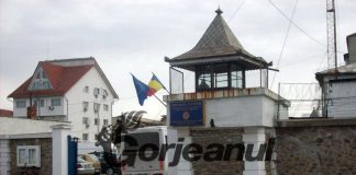Complice la tâlhărie, dus în penitenciar