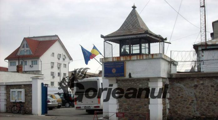 Complice la tâlhărie, dus în penitenciar