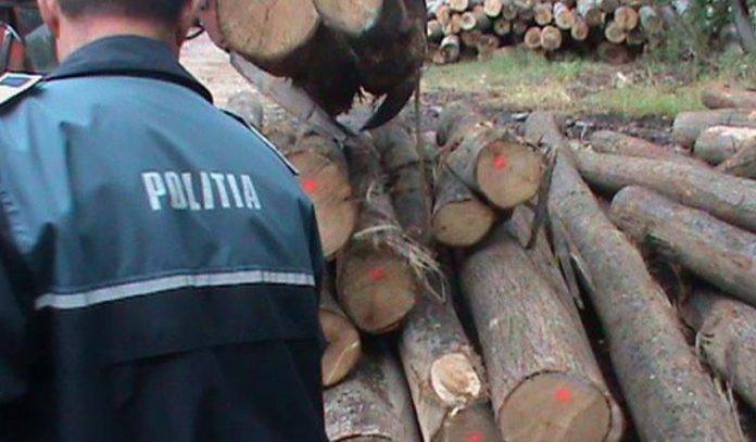 75593804_546710879495729_7299480486454231040_n