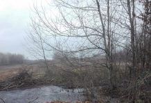 GNM, DSP şi DSVSA au scris sancţiuni! – Amendă după amendă pentru abatorul de păsări de la Târgu-Jiu