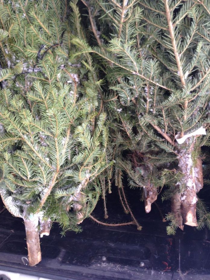 76973965_794238344349885_1631072890751287296_n