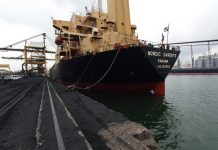 Au provocat un incendiu în port și au fugit. Refugiat găsit în Gorj