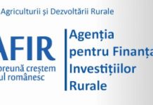 Postul de director al OJFIR Gorj, scos la concurs