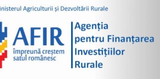 Postul de director al OJFIR Gorj, scos la concurs