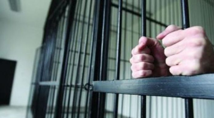 Zoro, condamnat la Târgu-Jiu pentru furtul câtorva mii de euro