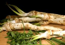 Hrean (Armoracia rusticana) – beneficii şi proprietăţi